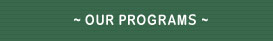 ~ OUR PROGRAM ~